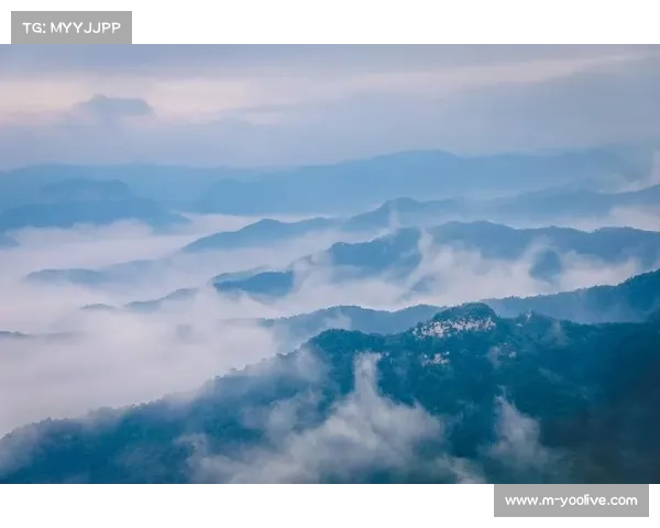 焦作打造“山水太极”户外运动目的地,项目投资加速